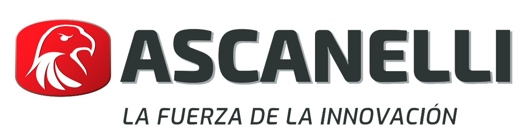 SinFix - Cliente Ascanelli (3)